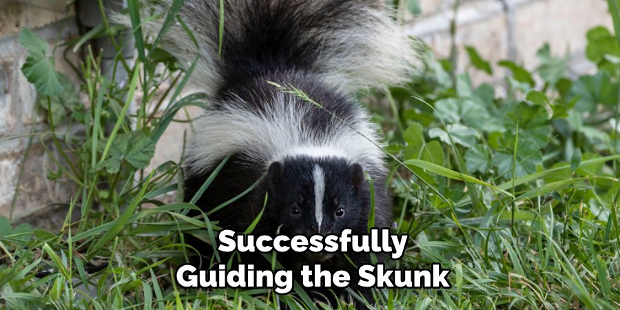 Successfully
Guiding the Skunk