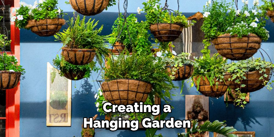 Creating a
Hanging Garden