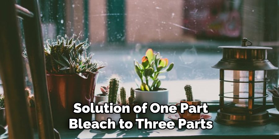 Solution of One Part Bleach to Three Parts Water