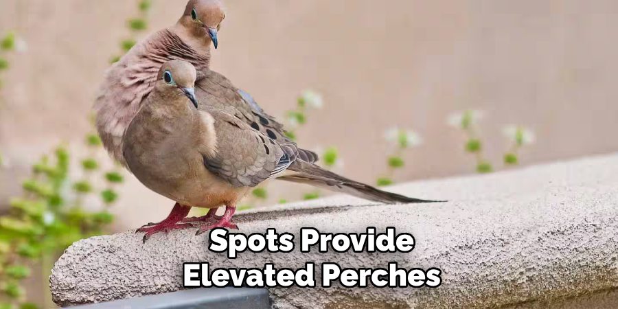 Spots Provide Elevated Perches