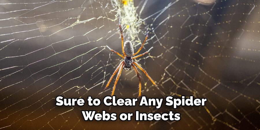 Sure to Clear Any Spider Webs or Insects