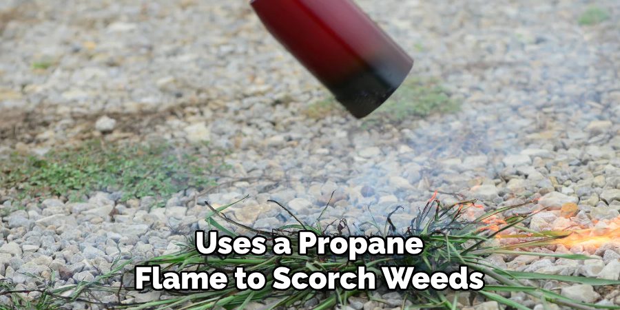 Uses a Propane Flame to Scorch Weeds
