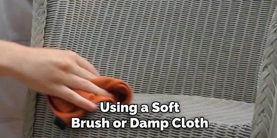 Using a Soft Brush or Damp Cloth