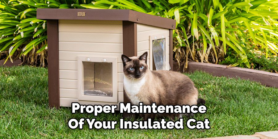 Proper Maintenance
Of Your Insulated Cat
