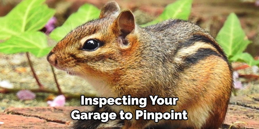 Inspecting Your
Garage to Pinpoint