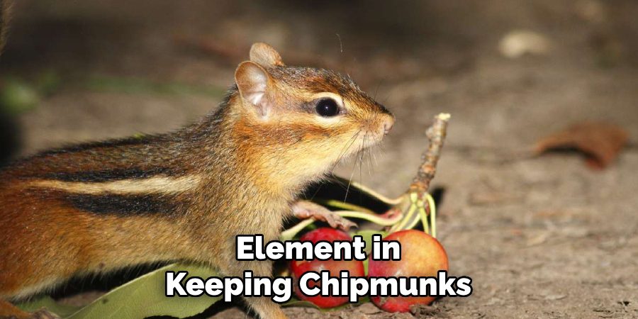 Element in
Keeping Chipmunks