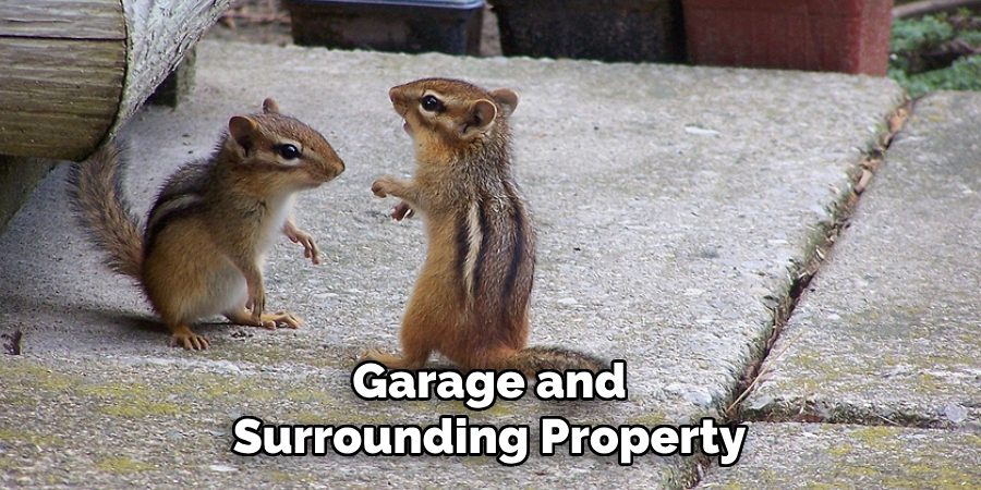 Garage and
Surrounding Property