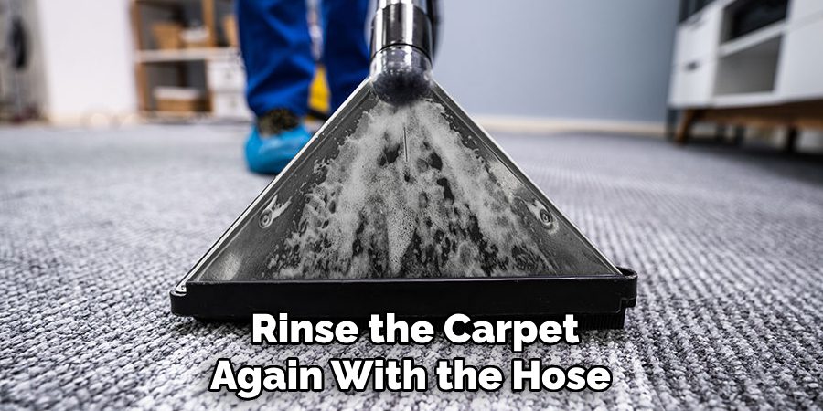 Rinse the Carpet
Again With the Hose 