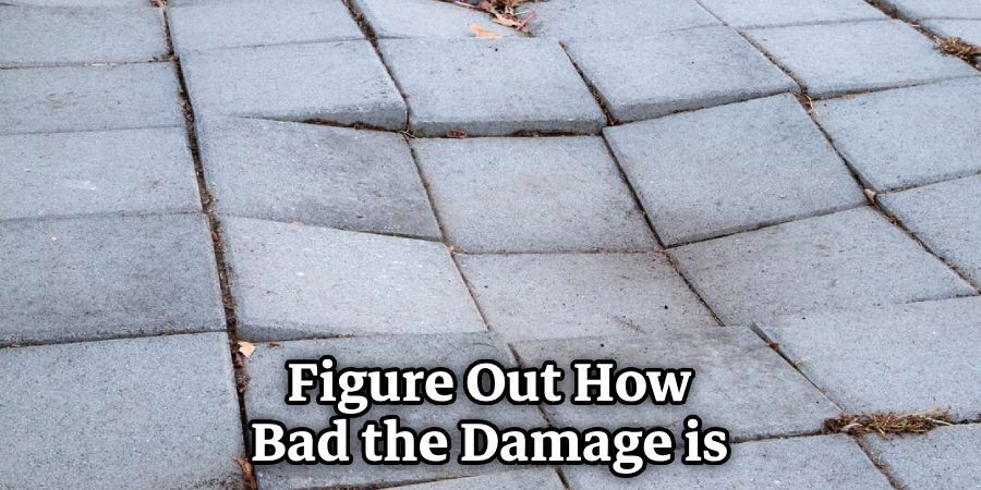 Figure Out How Bad the Damage is