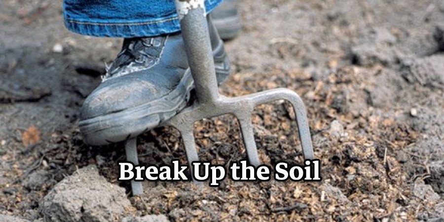 Break Up the Soil 