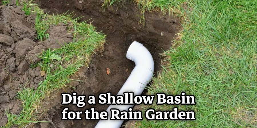 Dig a Shallow Basin for the Rain Garden