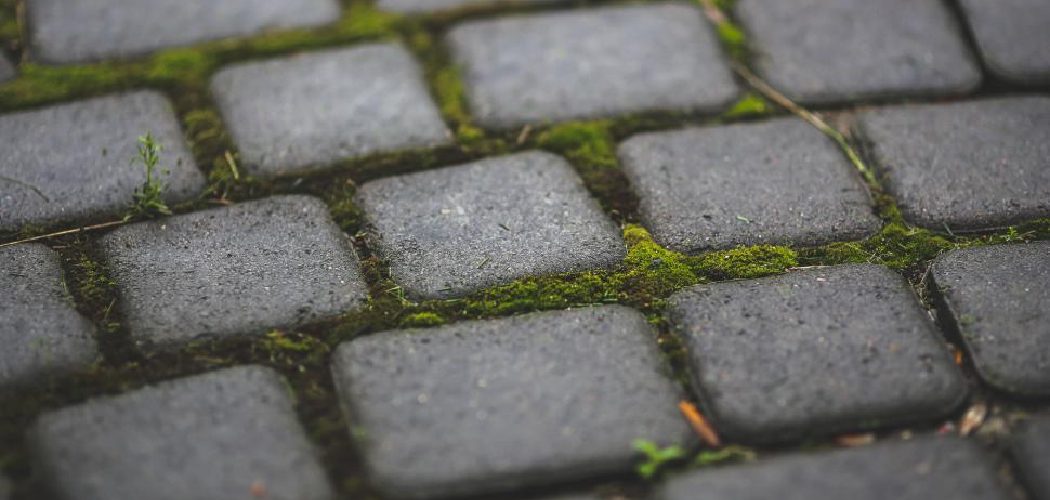 How to Seal Pavers to Prevent Weeds