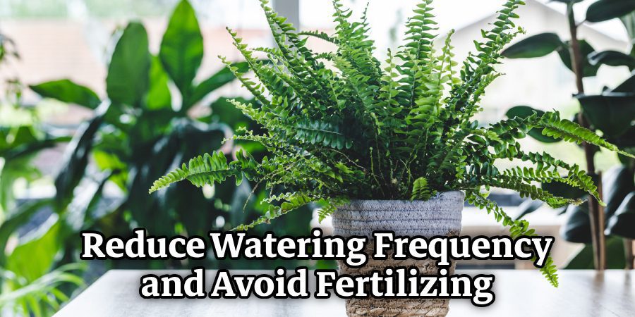 Reduce Watering Frequency and Avoid Fertilizing