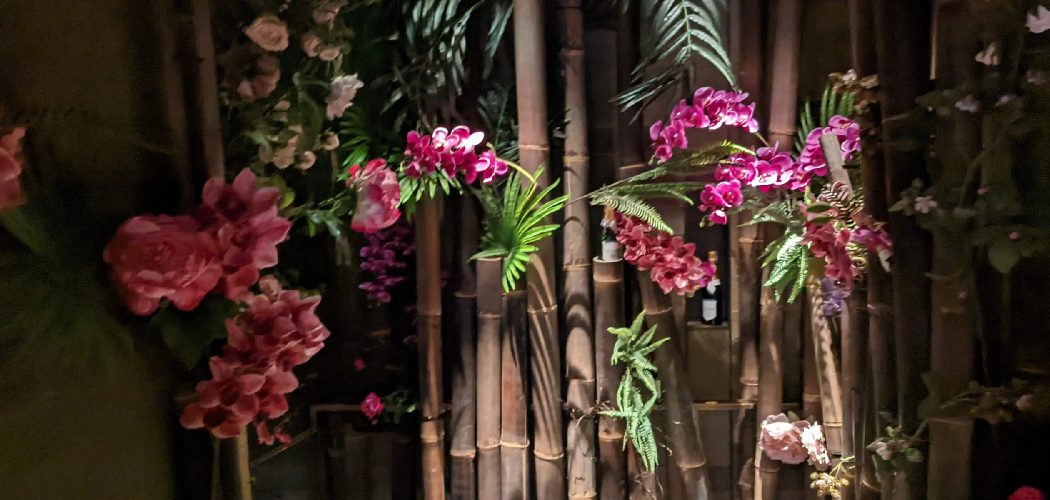 How To Display Orchids Outdoors