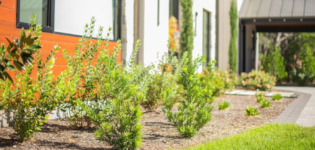 How to Build Garden Terraces
